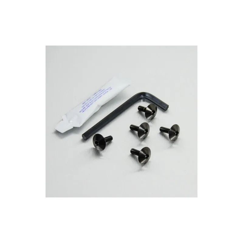 Kit Vis Fixation Par Chaleur Echappement Inox
